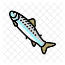 Peces smolts  Icono