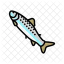 Smolt Fish  Icon