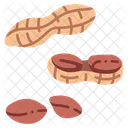 Snack Peanut Food Icon