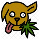 Marijuana per cani  Icon