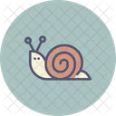 Snail Mollusc Sluggish Icon