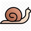 Snail Animal Shell Icon