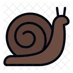 Snail  Icon