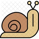 Snail Shell Slow Icon