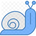 Snail Shell Slow Icon