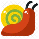 Snail Shell Nature Icon