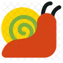 Snail Shell Nature Icon