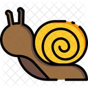 Snail Insect Animal Icon