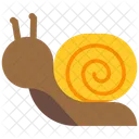 Snail Insect Animal Icon