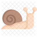 Snail Slug Animal Icon