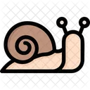 Snail  Icon