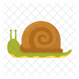 Snail  Icon