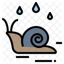 Snail Wet Moisture Icon