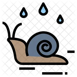 Snail  Icon