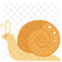 Creature Animal Snail Icon