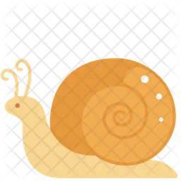 Snail  Icon