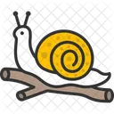 M Snail Icon