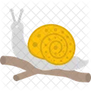 M Snail Icon