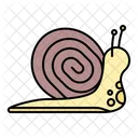 Snail Animal Pest Icon