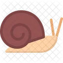 Snail Shell Insect Icon