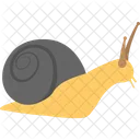 Snail Animal Mollusk Icon