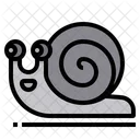 Snail Slow Wildlife Icon