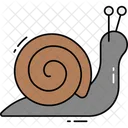 Snail Animal Shell Icon