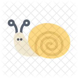 Snail  Icon