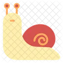 Snail  Icon