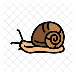 Snail  Icon