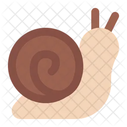 Snail  Icon
