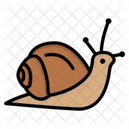 Snail  Icon