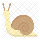 Snail  Icon