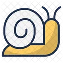 Snail  Icon