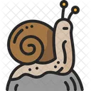 Snail Wildlife Shell Icon