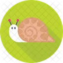 Snail Animal Nature Icon