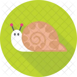 Snail  Icon