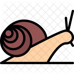 Snail  Icon