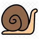 Snail Turtle Slow Biology Science Icon