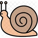 Snail Animal Animals Icon