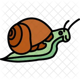 Snail  Icon