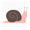 Snail Clipart Shell Icon