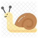 Snail Animal Gastropod Icon