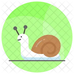 Snail  Icon