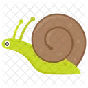 Snail Land Snail Gastropod Icon