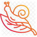 Snail  Symbol