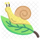 Snail Leaf Animal Icon