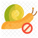 Snail Control Crab Shell Icon