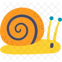 Snail Cute Animal  Icon