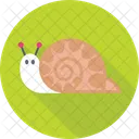 Snail  Icon